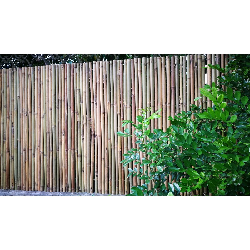 Canisse en bambou Shanghai 180 x 300 cm