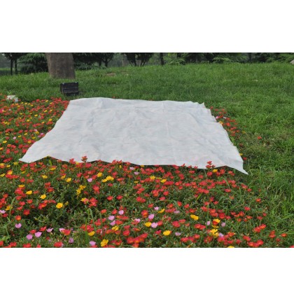 Voile hivernage blanc, 30 g/m2, protection plante, Nature Jardin
